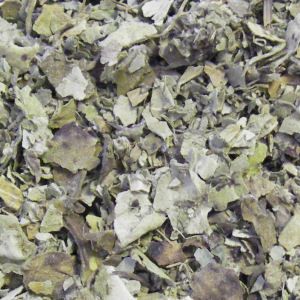 Coltsfoot Herb (Tussilago farfara)