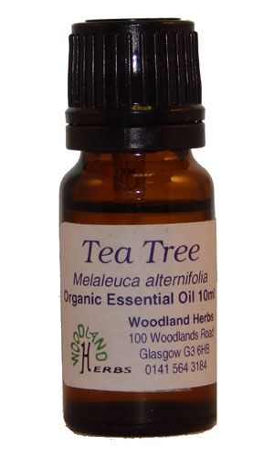 Tea Tree Essential Oil (Organic)