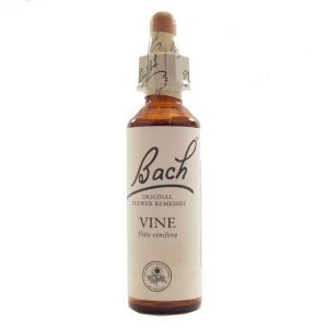 Flower Delivery Glasgow on Store   Homeopathy   Bach   Bach Flower Remedies   Vine Flower Remedy