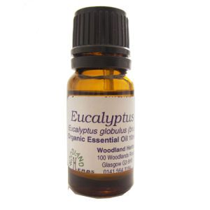 Euclyptus Essential Oil 