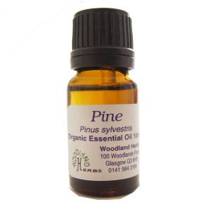 Pine Essential Oil