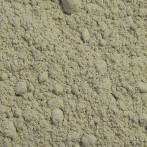 Slippery Elm  (Ulmus fulva)