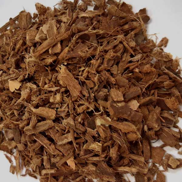 Bayberry Bark (Myrica cerifera)