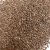 Linseed (Brown) 100gram (Linum usitatissimum)