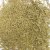 Rosemary  (Rosmarinus officinalis)