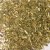 Goldenrod (Solidago virgaurea)