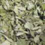 Mullein Herb Leaf (Verbascum thapsus)